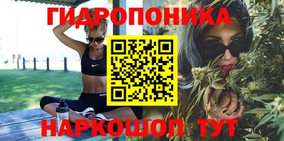 шишки Нальчик