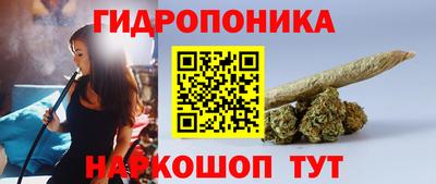 шишки Нальчик