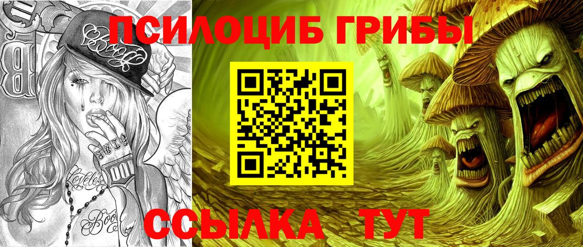купить наркотик  Псилоцибиновые грибы Cubensis  Вход с VPN  Сорочинск 
